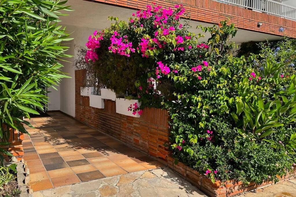 Apartamento Acogedor , Blanes Ngoại thất bức ảnh